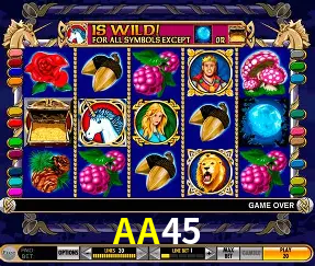 VIP Casino AA45